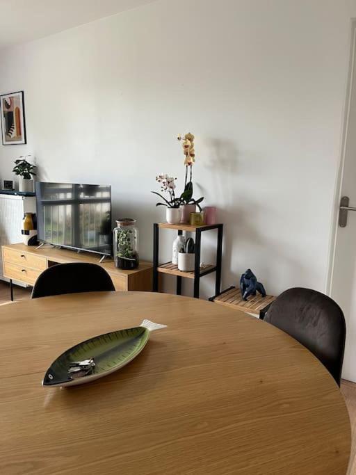 Paisible T2 Apartman Villeurbanne Kültér fotó